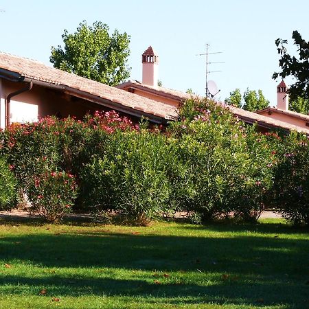 Trilo Dalia Villa Marina di Grosseto Buitenkant foto