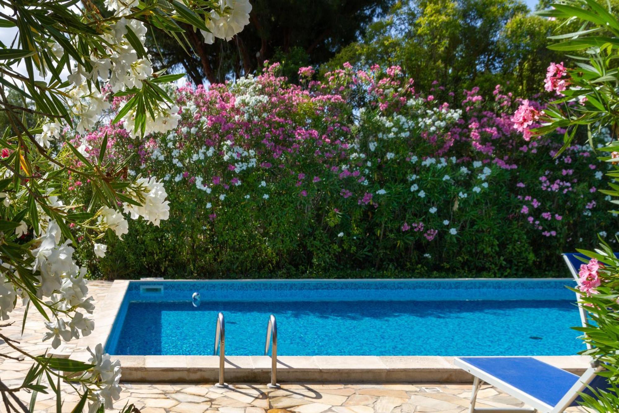 Trilo Dalia Villa Marina di Grosseto Buitenkant foto