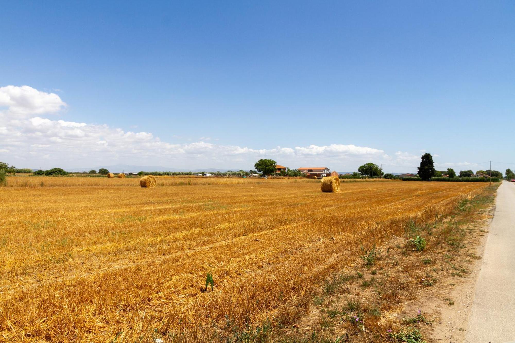 Trilo Dalia Villa Marina di Grosseto Buitenkant foto